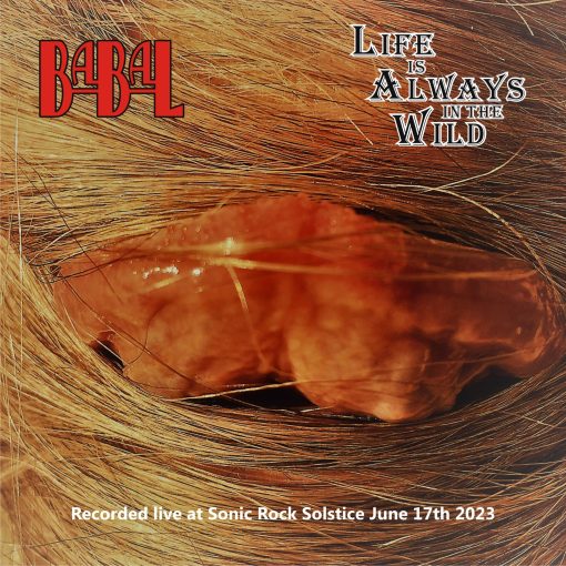Babal - Life is Always in the Wild