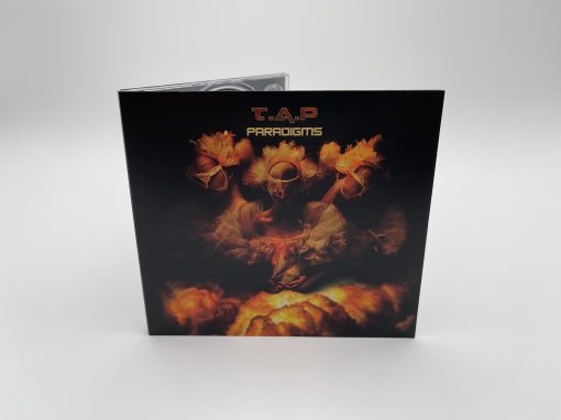 T.A.P - Paradigms - Image 2