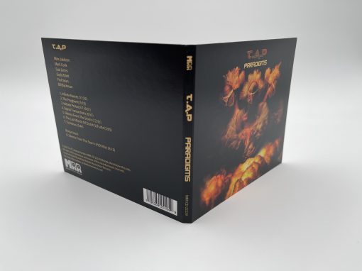 T.A.P - Paradigms - Image 3