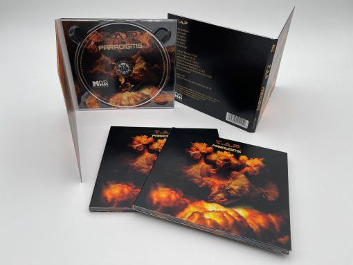 T.A.P - Paradigms - Image 4