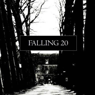 Transport Aerian - Falling 20 (single)